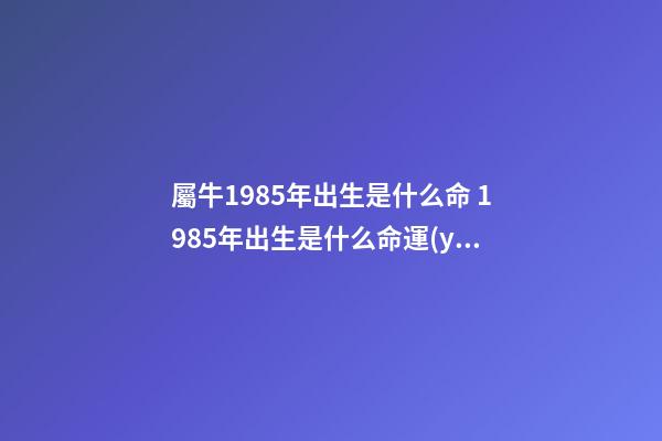 屬牛1985年出生是什么命 1985年出生是什么命運(yùn)勢(shì)如何 1985年出生的人是什么命-第1張-觀點(diǎn)-玄機(jī)派